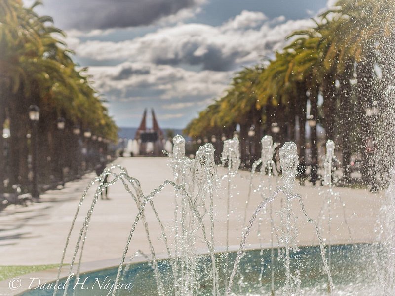 Paseo de las Palmeras