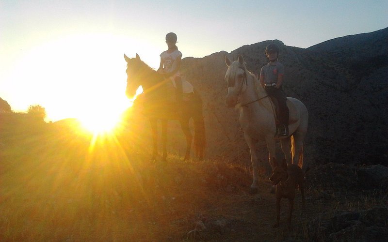 Horse Riding El Chorro