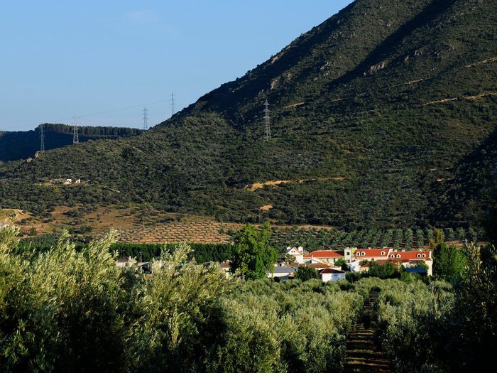 Amalurra Granada (Caparacena)