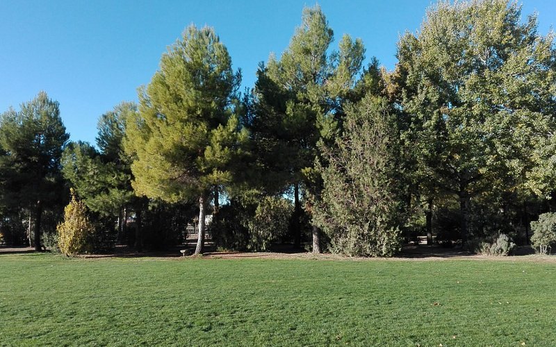 Parque de la Pulgosa