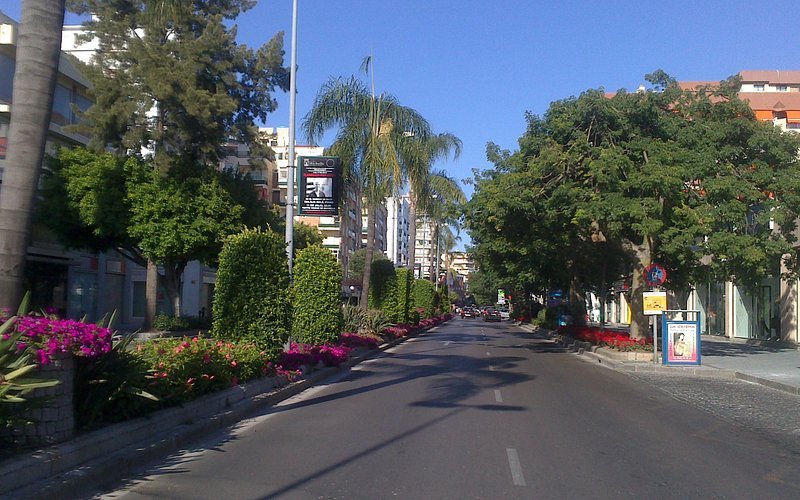 Avenida Ricardo Soriano