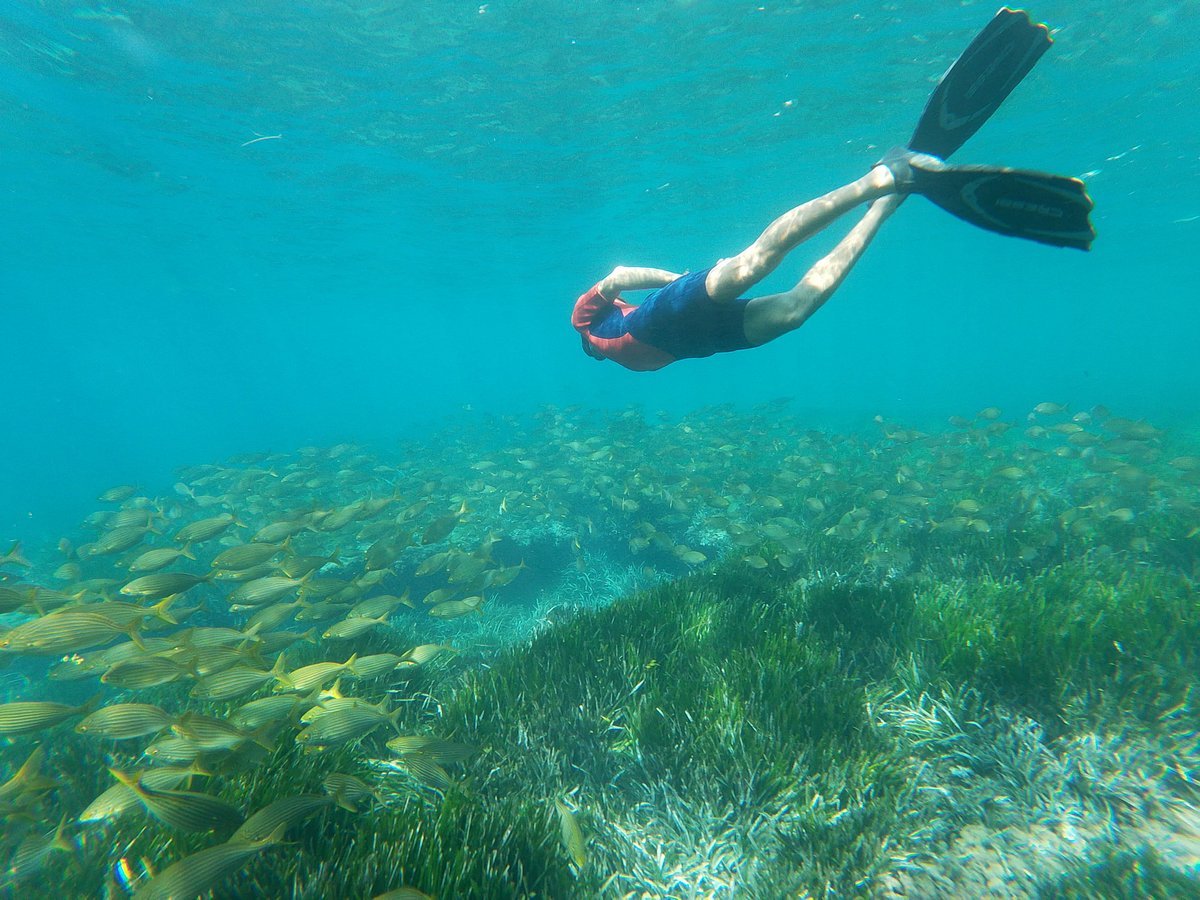 Snorkel Cabo de Gata