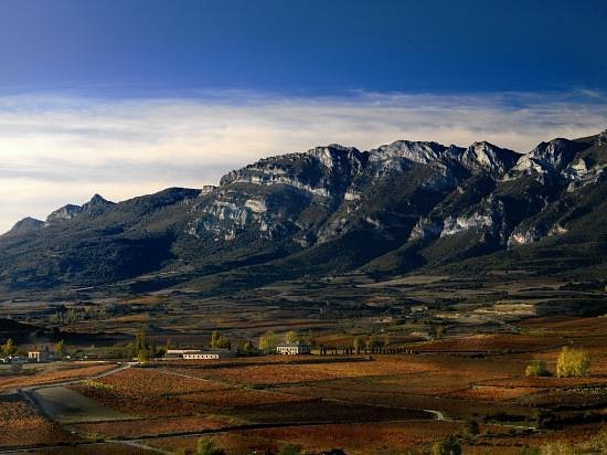 Bodega Torre de Oña