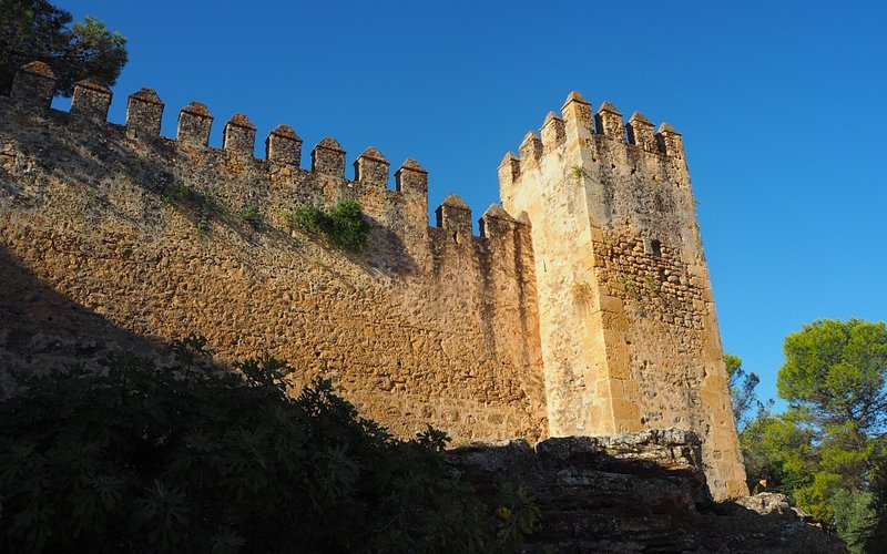 Foto de Castillo de las Aguzaderas, El Coronil