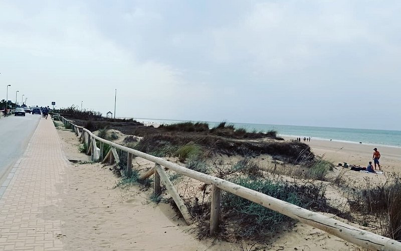 Playa El Palmar