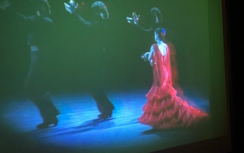 Musee Flamenco De Seville