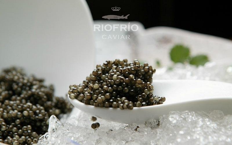 Caviar de Riofrio