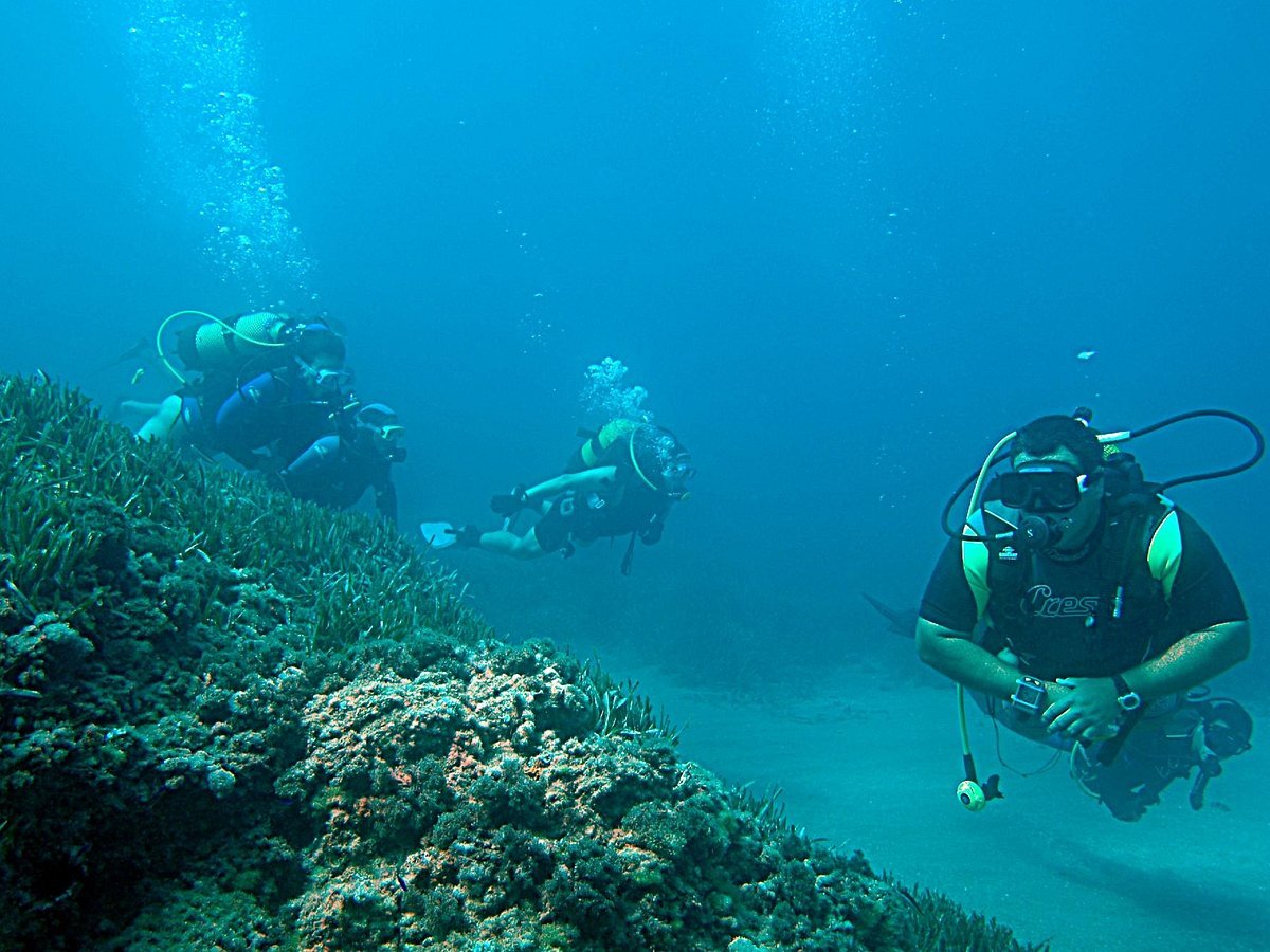 Buceo Mojácar