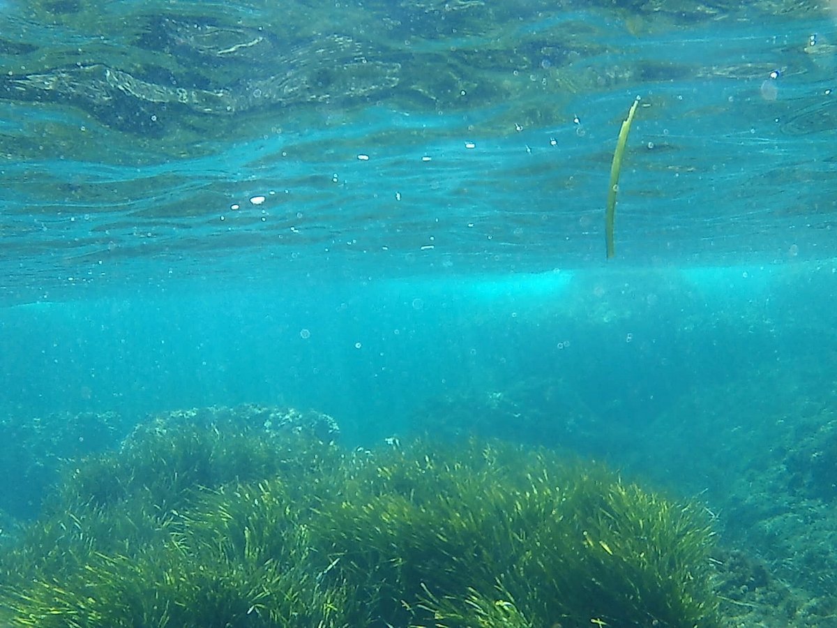 Clear Kayak