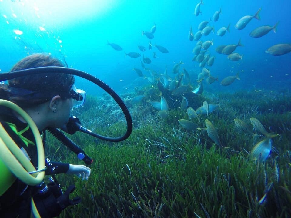 Club de Buceo Lijosub