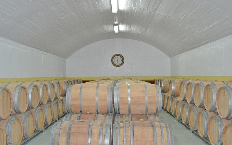 Bodegas Finca Anfora