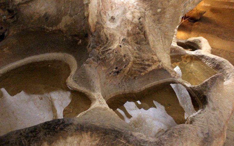 Imagen 1 de Cueva del Tesoro
