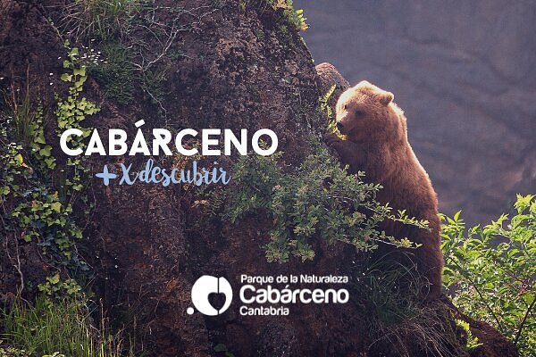 Foto de Parque de la Naturaleza de Cabárceno, Cantabria