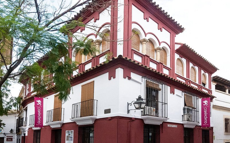 Casa-Museo del Guadamecí Omeya