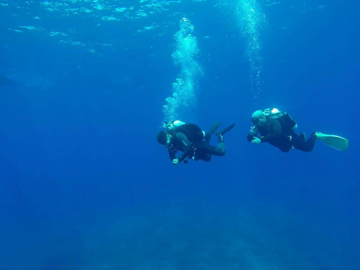 Buceo Isla Negra