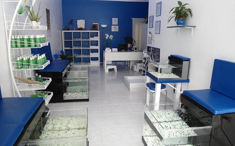 Dr. Fish - Fish Spa Boutique