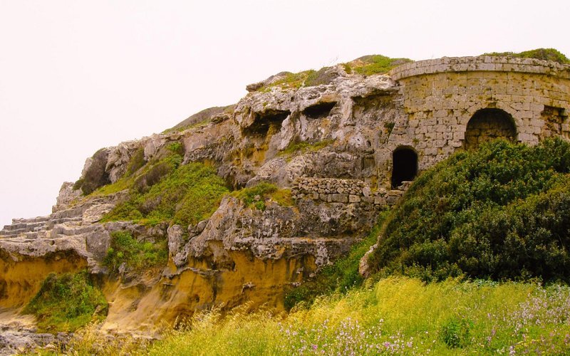 Fuerte Marlborough