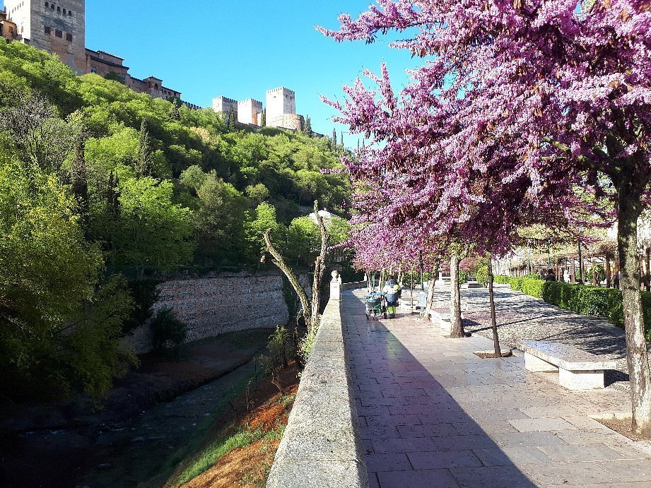 Granada Jewish Tour