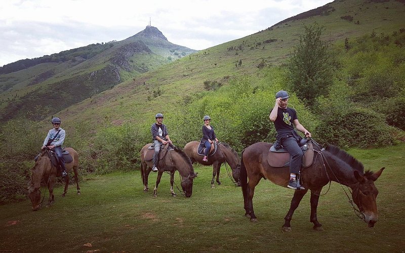 Centre de Tourisme Equestre Larrun Alde