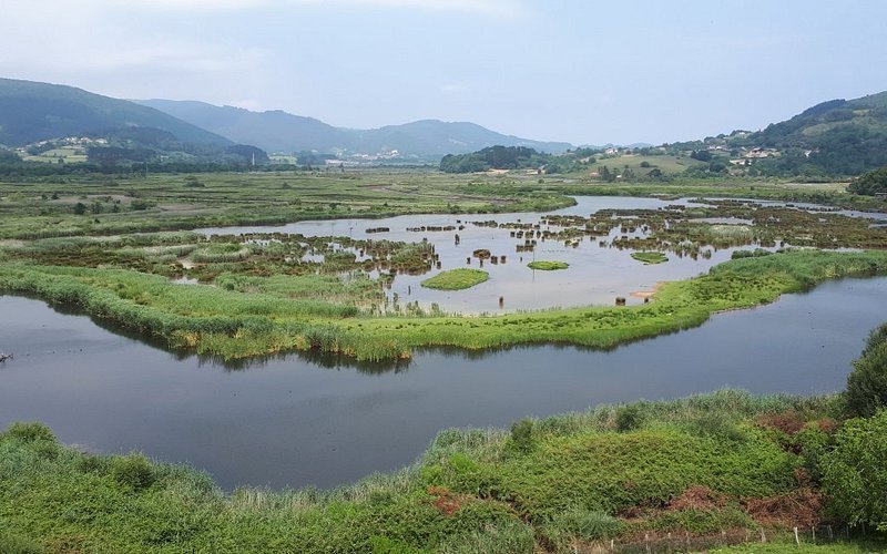 Urdaibai Bird Center