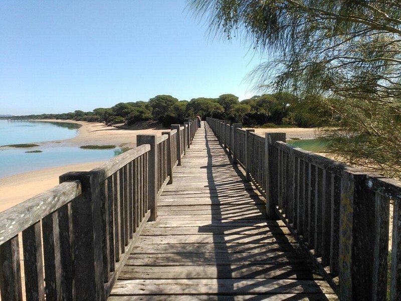 Playa Río de San Pedro