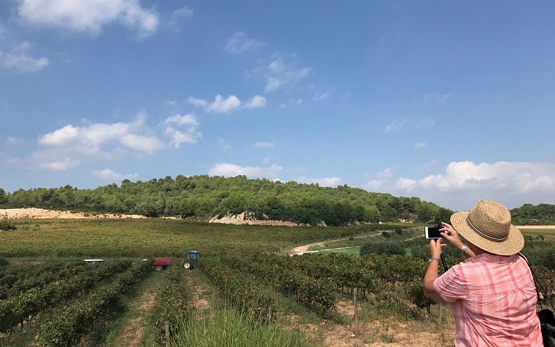 Bodegues Sumarroca