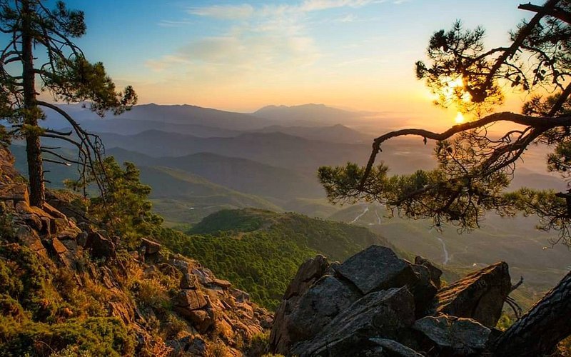 Los Reales de Sierra Bermeja