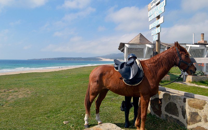 Foto de E3 Endurance Equestrian Experience, San Roque