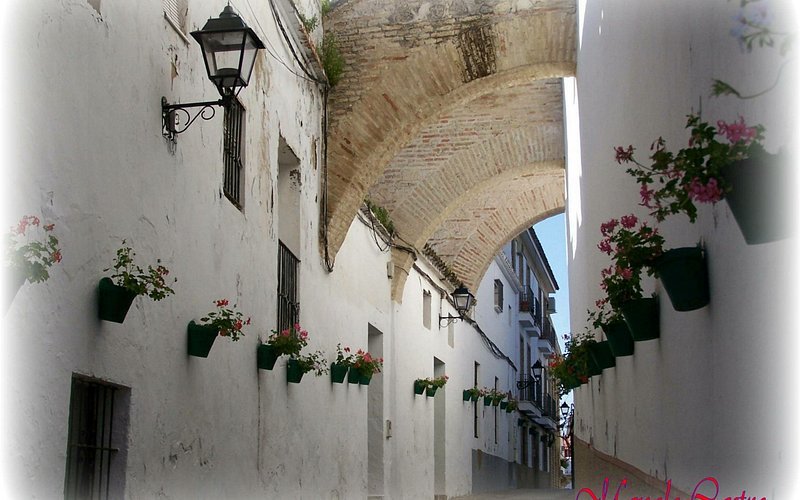 Calle Monjas