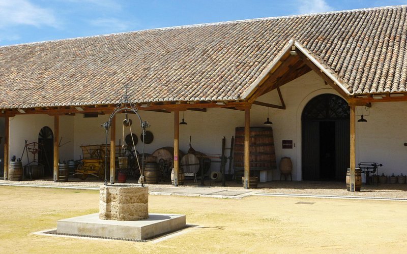 Foto de Museo del Vino, Valdepenas