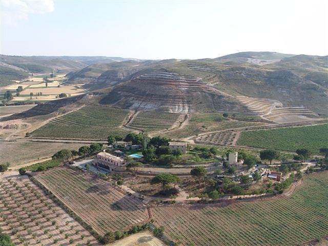 Bodega Calzadilla