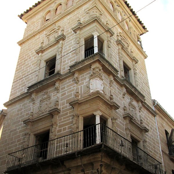 Imagen 1 de Palacio de los Condes de Guadiana