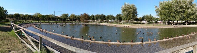 Parque Laguna del Moral