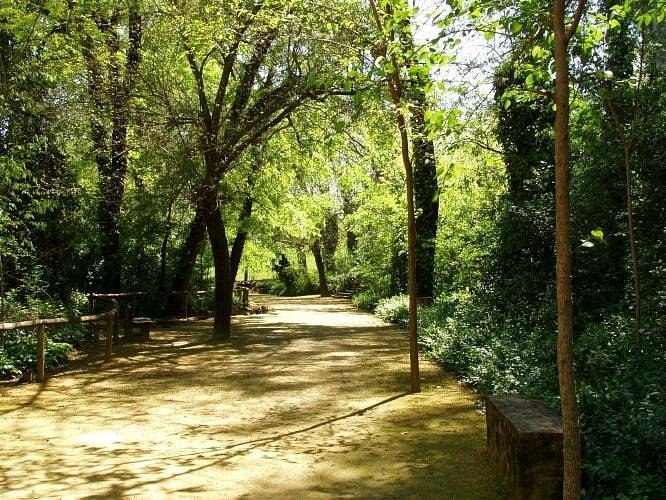 Foto de Parque de Oromana, Alcalá de Guadaira