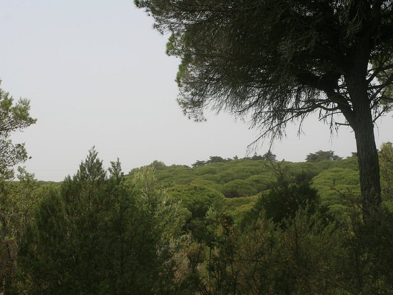 Parque Natural Las Breñas