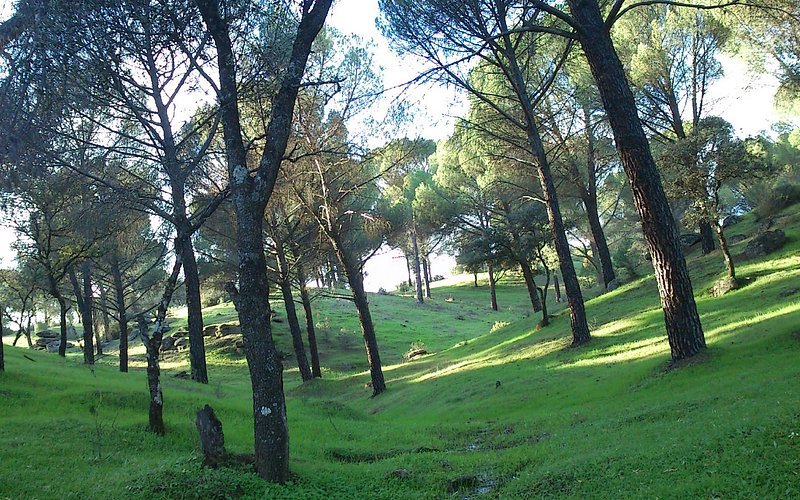 Parque Natural Sierra de Andújar