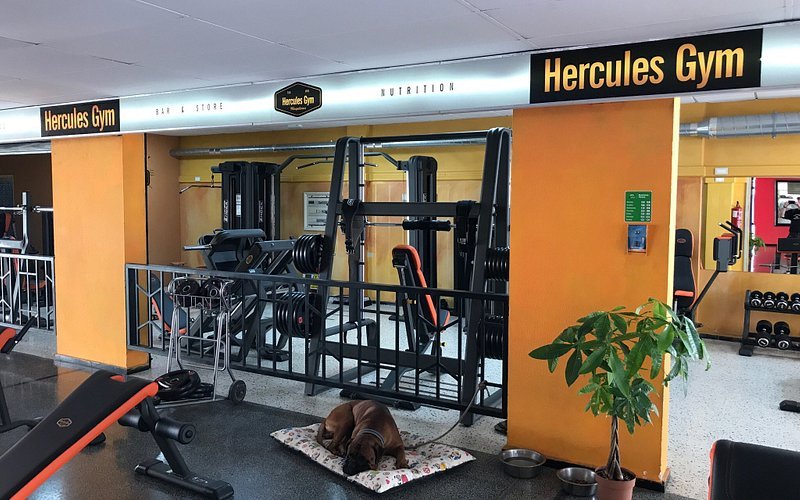 Hercules Gym