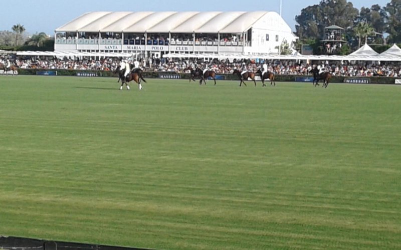 Polo Santa María