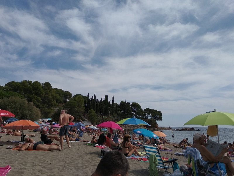 Foto de Platja de Grifeu, Llançà