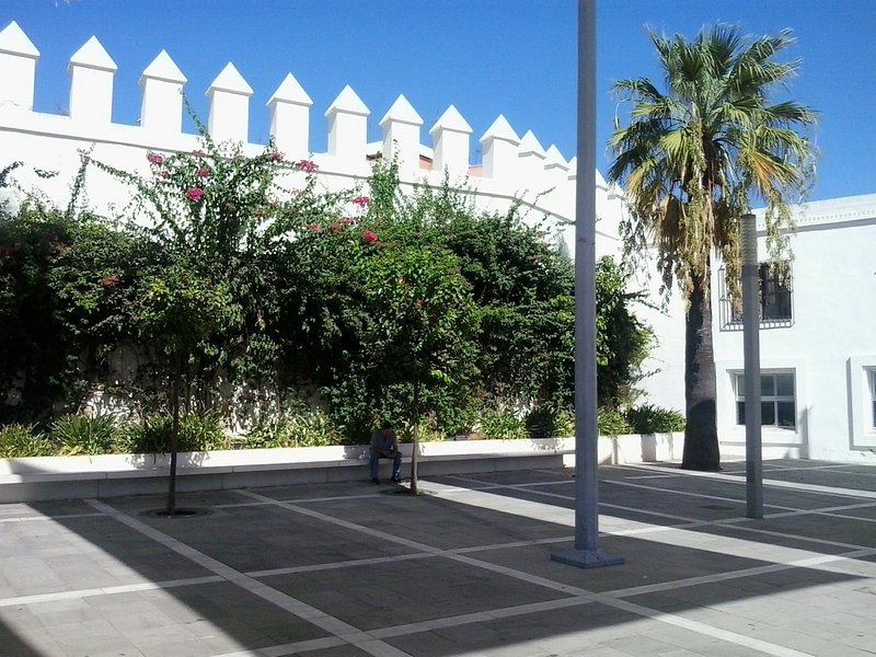 Imagen 1 de Plaza de la Constitucion