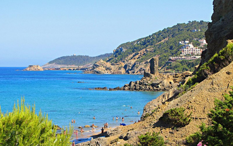 Foto de Playa de Aigues Blanques, Sant Carles de Peralta