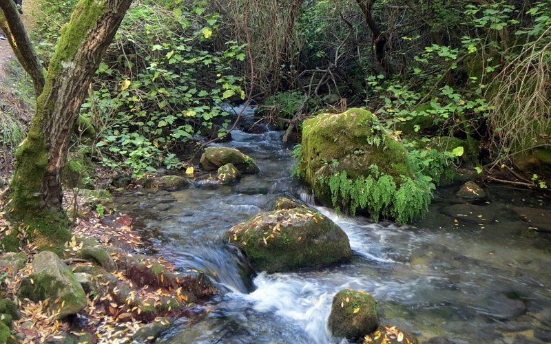 Foto de Sendero Rio Majaceite, Sierra de Grazalema Natural Park