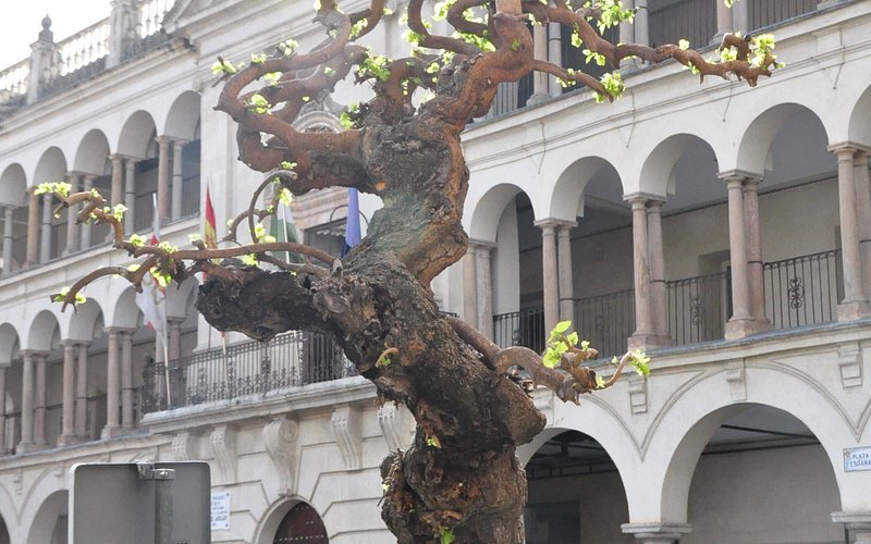 Palacio Municipal de Andújar