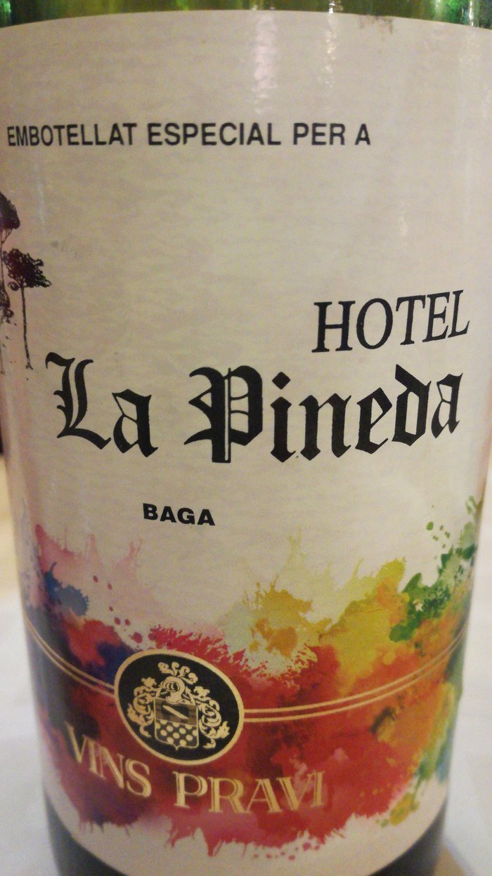 Hotel la Pineda