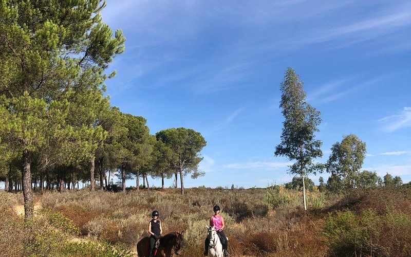 Doñana Horse Adventure