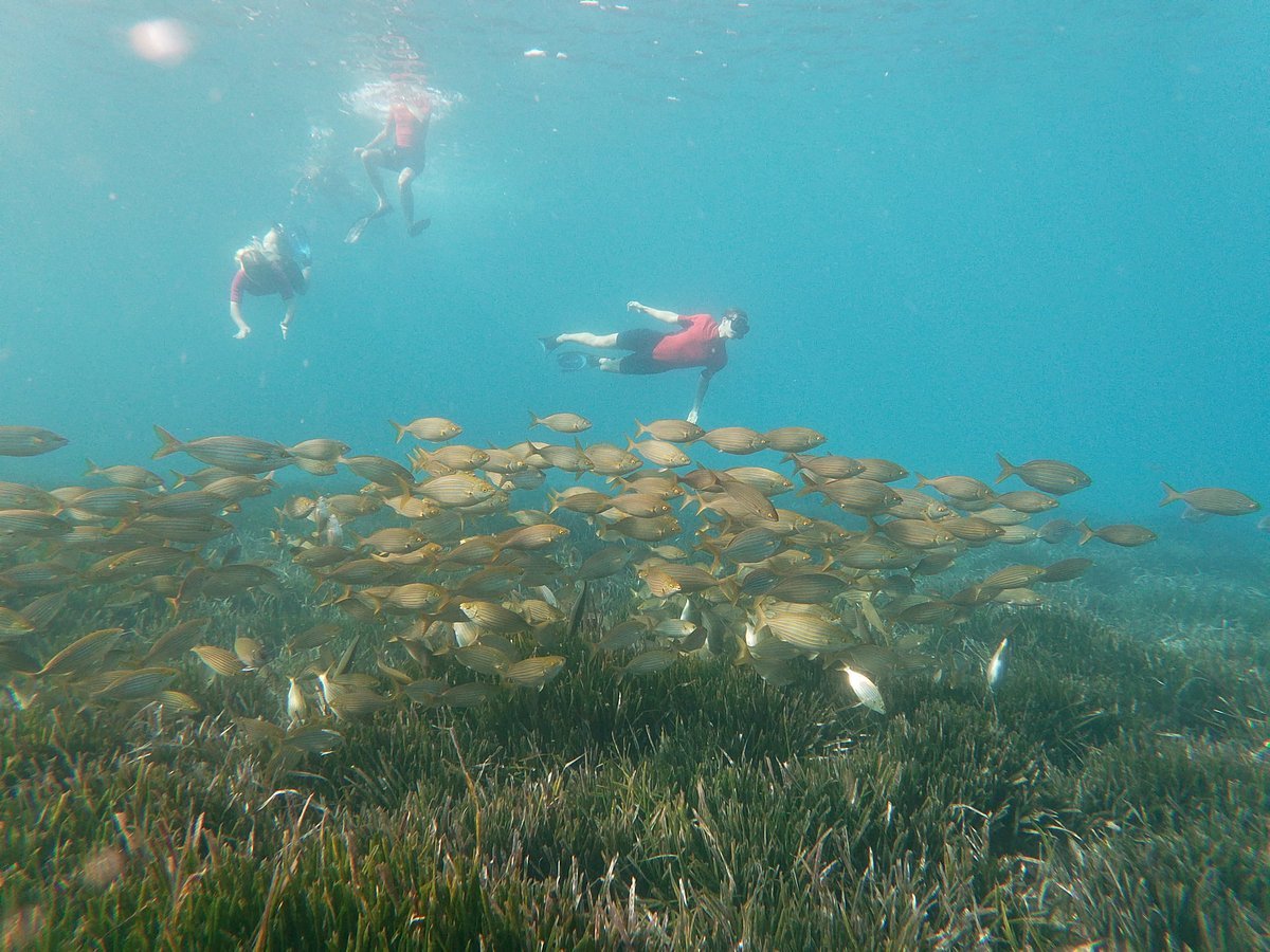 Snorkel Cabo de Gata