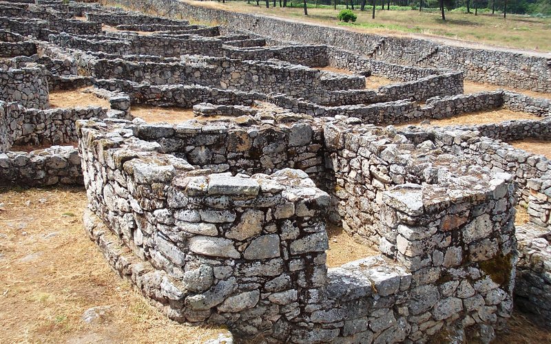 Parque Arqueoloxico da Cultura Castrexa