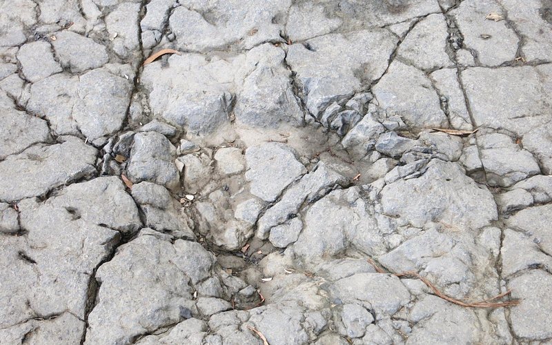 Yacimiento de Icnitas de la playa de la Griega