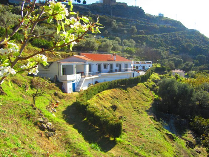 Finca Floretta